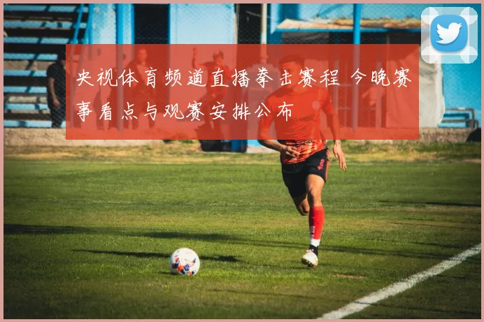 央视体育频道直播拳击赛程 今晚赛事看点与观赛安排公布